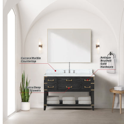 Norwalk 48 in W x 22 in D Black Oak Single Bath Vanity