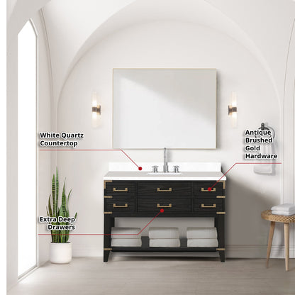 Norwalk 48 in W x 22 in D Black Oak Single Bath Vanity