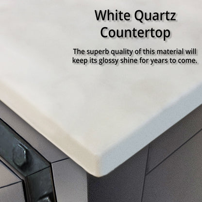 Ziva 48 in W x 22 in D Dark Grey Bath Vanity