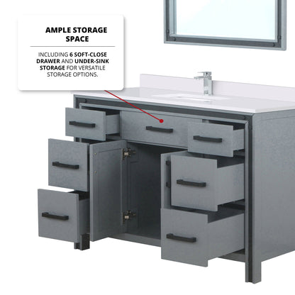 Ziva 48 in W x 22 in D Dark Grey Bath Vanity
