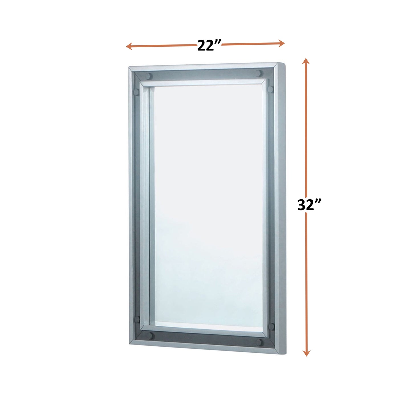 Ziva 22 in W x 32 in H Mirror with Black Metal Inlay