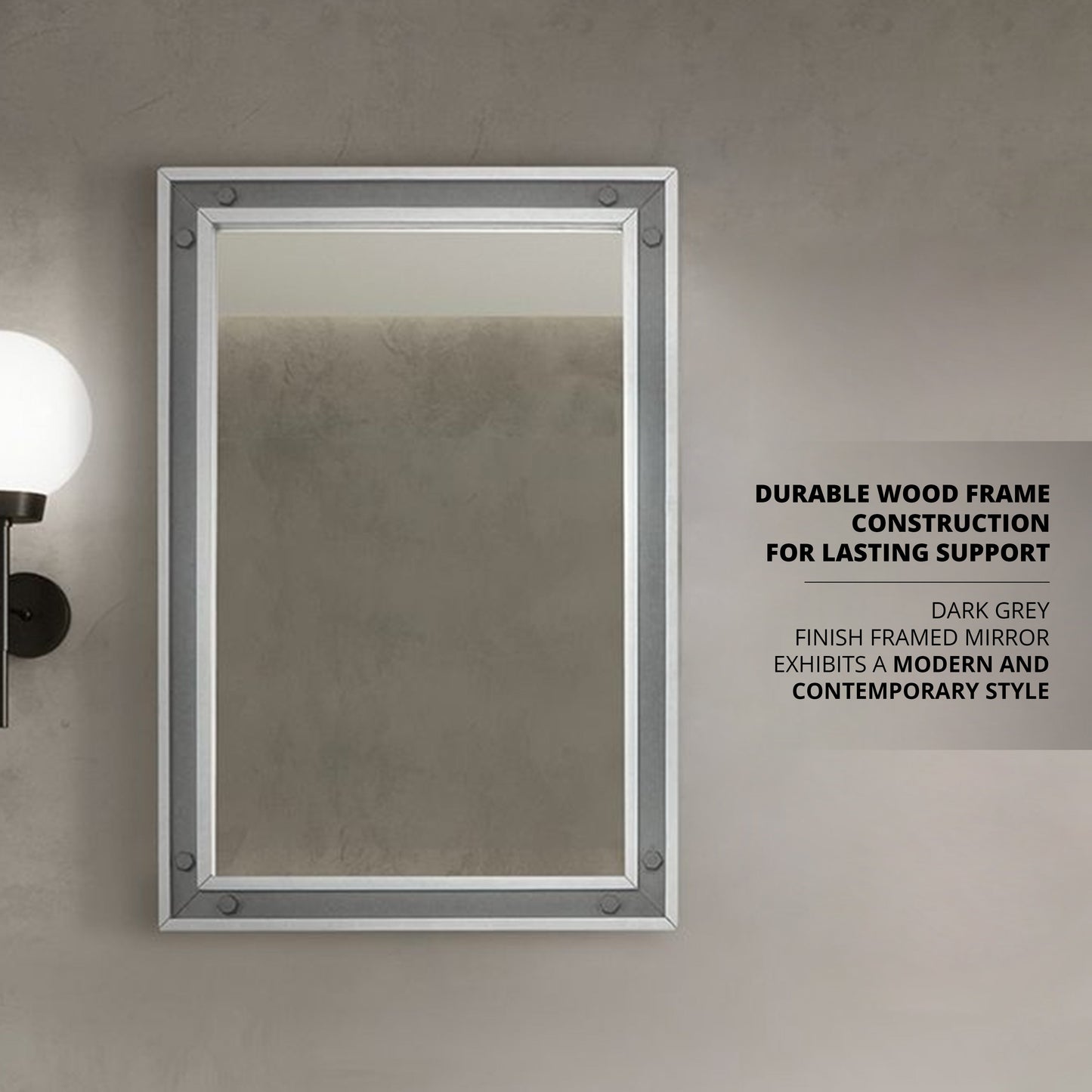 Ziva 22 in W x 32 in H Mirror with Black Metal Inlay