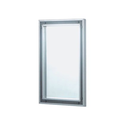 Ziva 22 in W x 32 in H Mirror with Black Metal Inlay