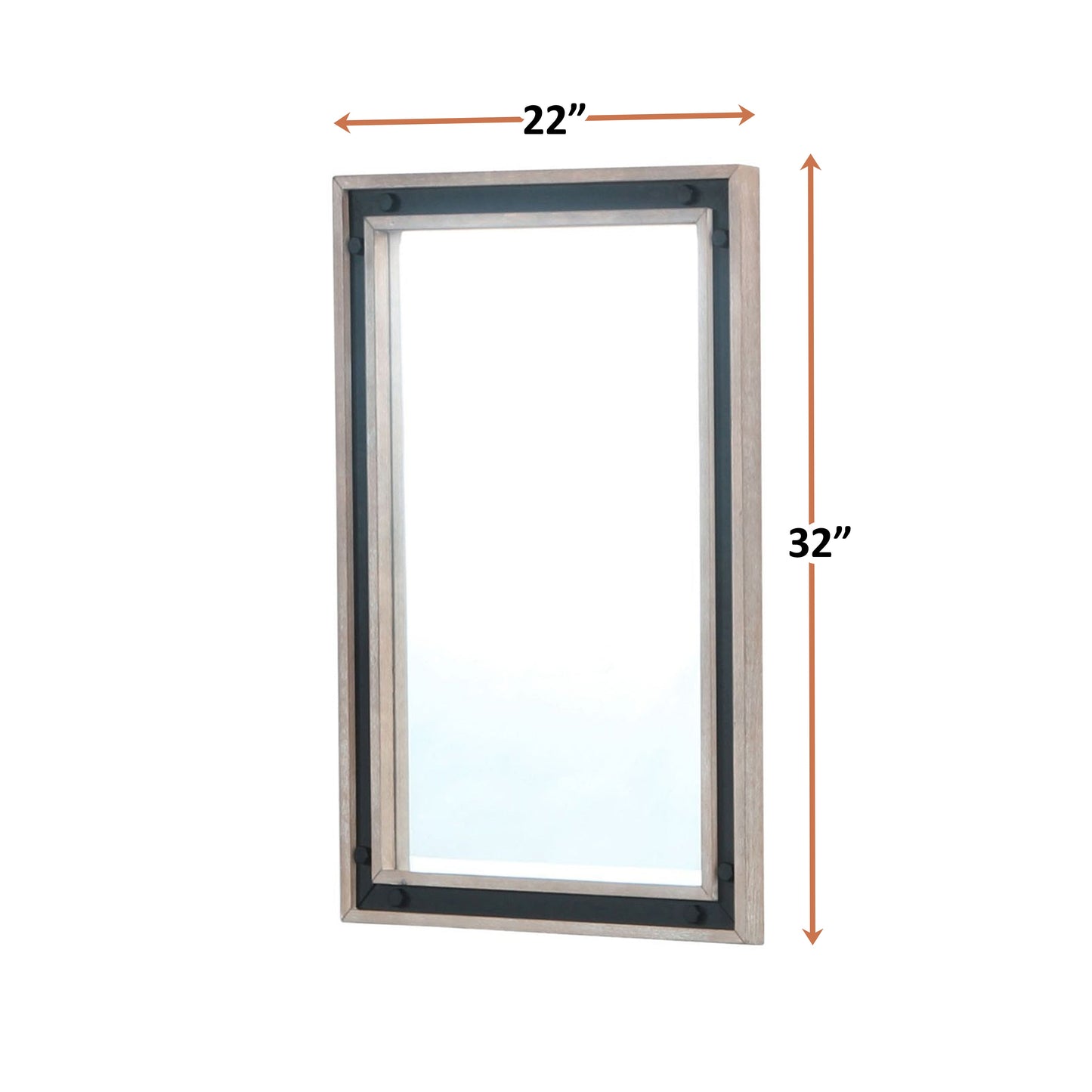 Ziva 22 in W x 32 in H Mirror with Black Metal Inlay