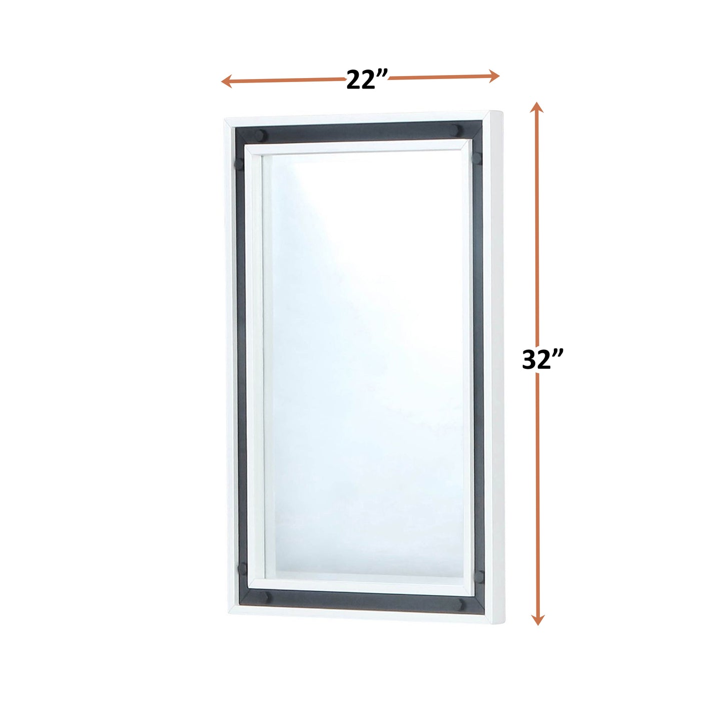 Ziva 22 in W x 32 in H Mirror with Black Metal Inlay