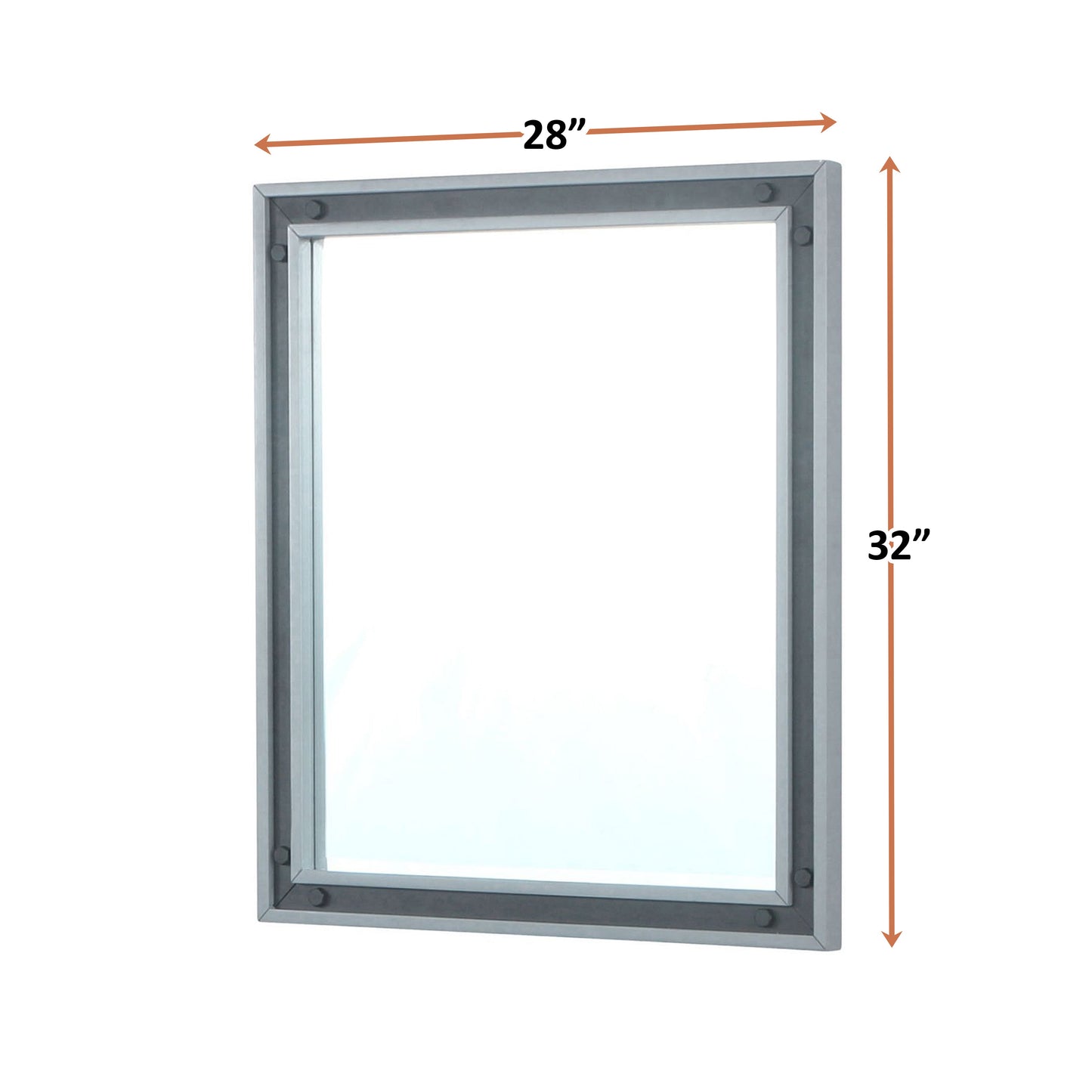 Ziva 28 in W x 32 in H Mirror with Black Metal Inlay