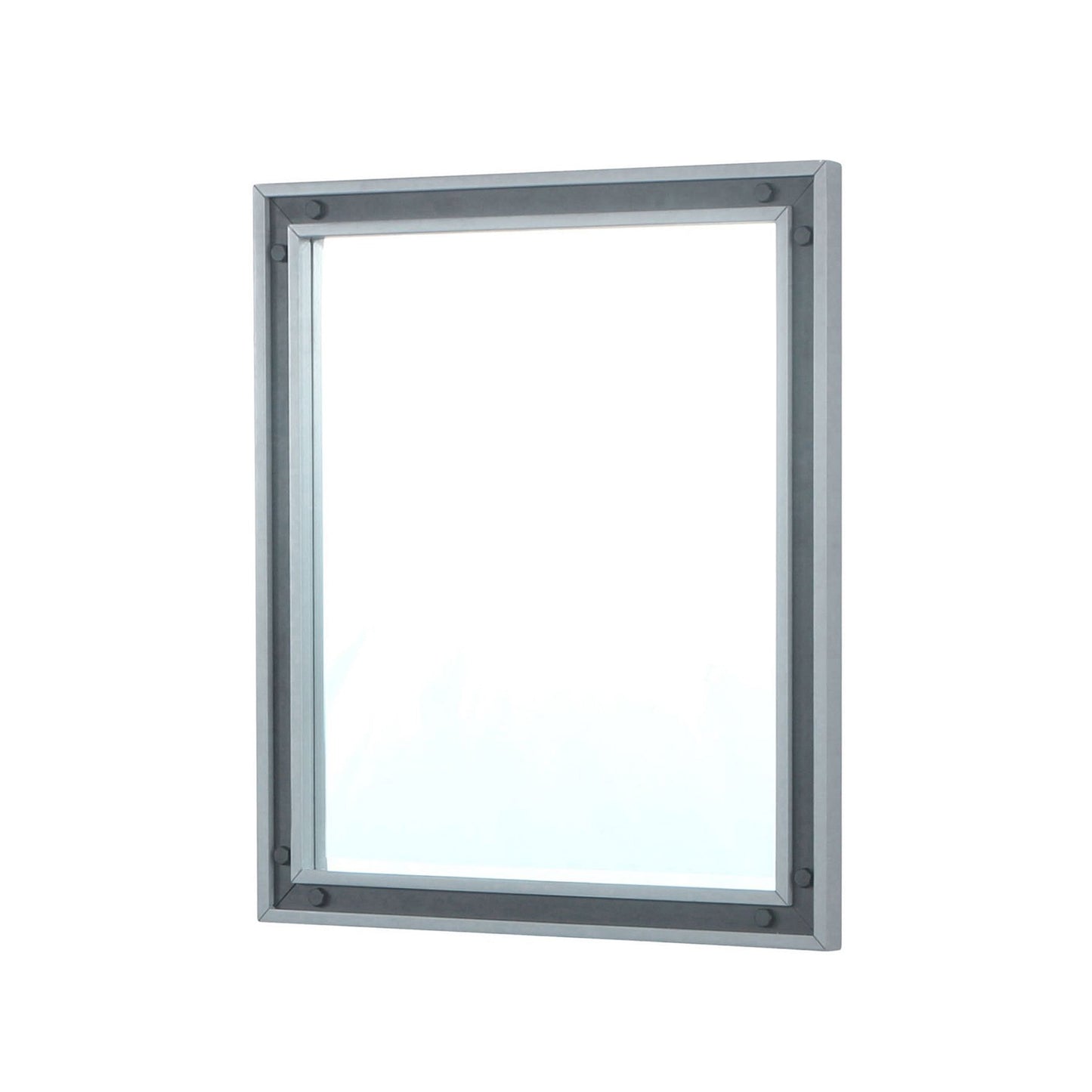 Ziva 28 in W x 32 in H Mirror with Black Metal Inlay