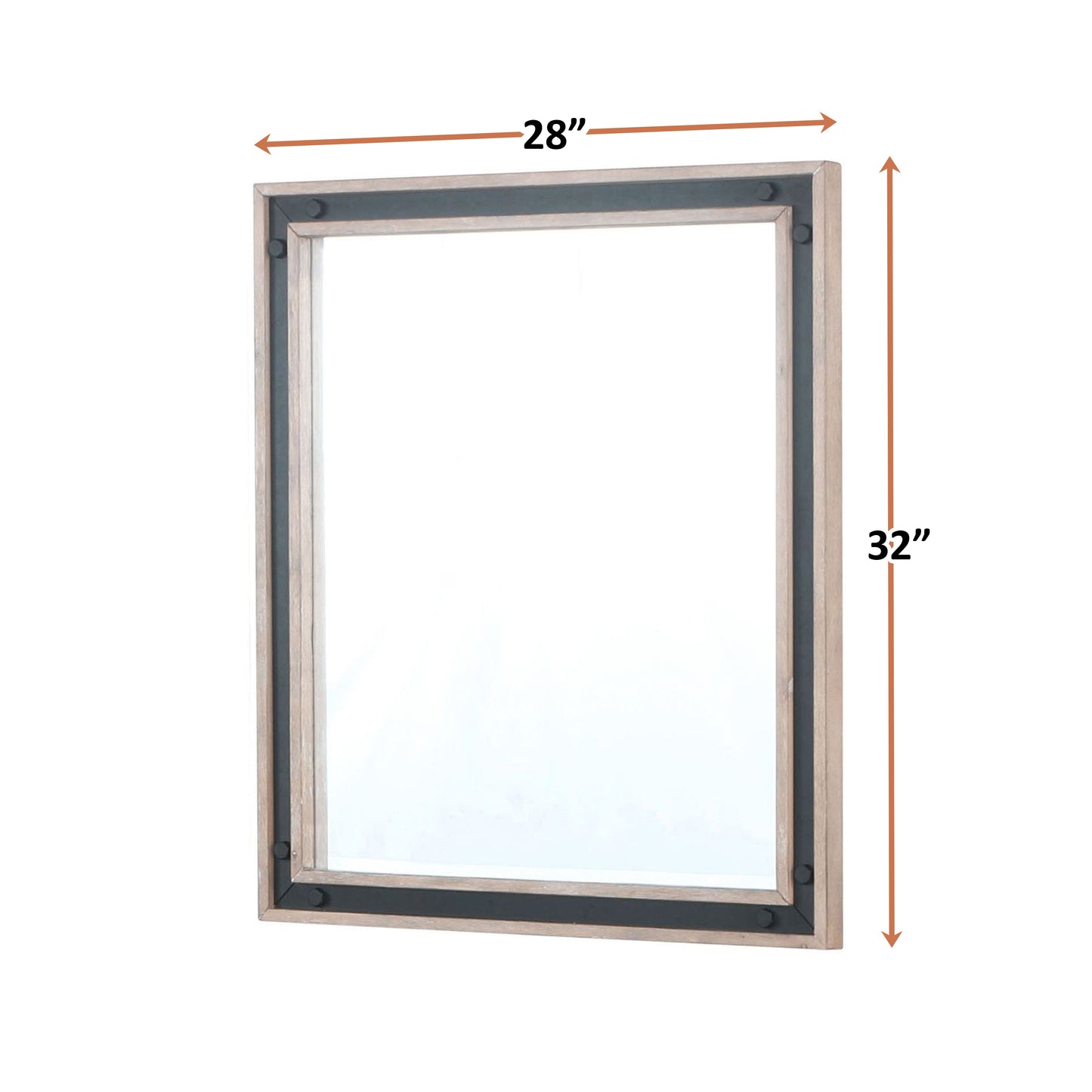 Ziva 28 in W x 32 in H Mirror with Black Metal Inlay