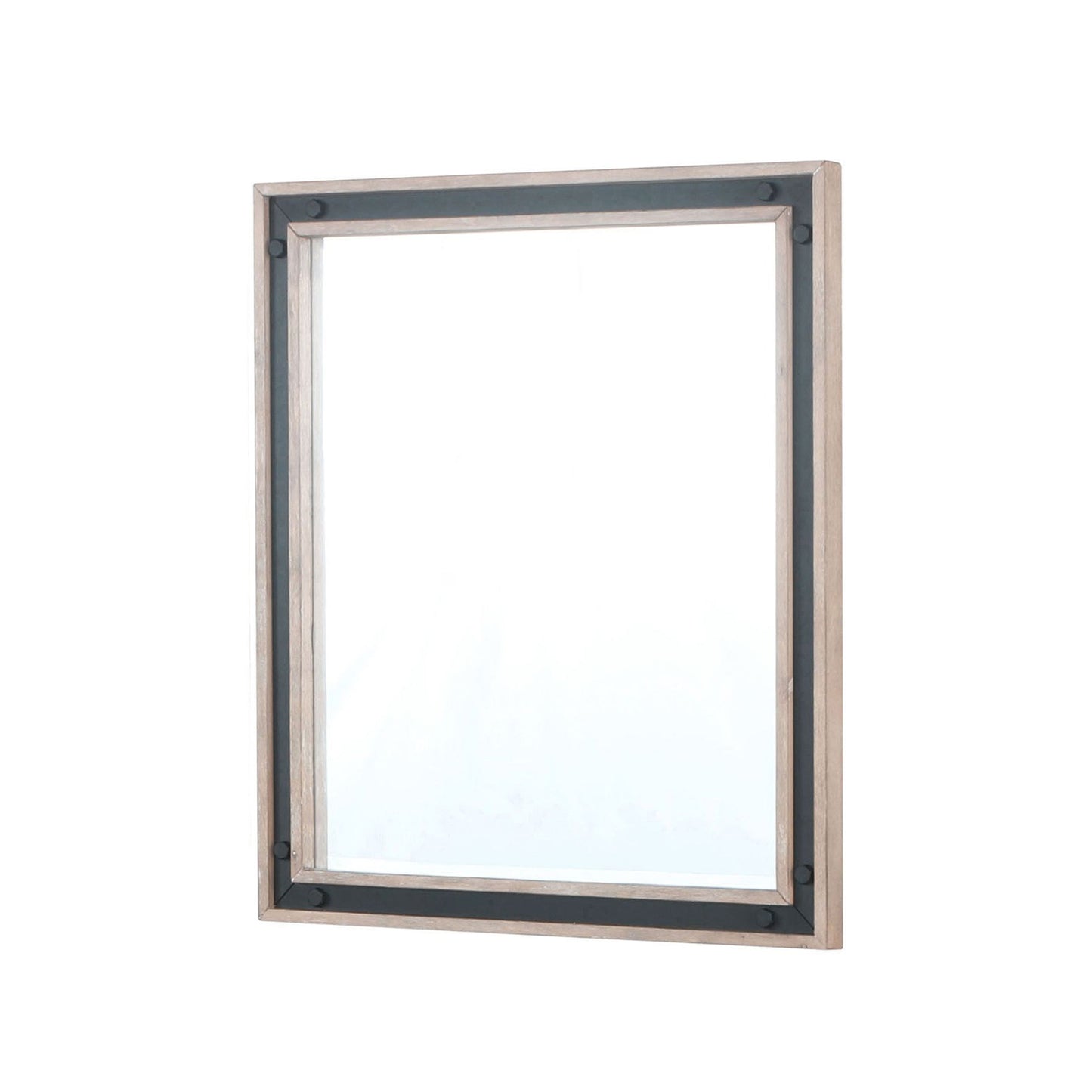 Ziva 28 in W x 32 in H Mirror with Black Metal Inlay