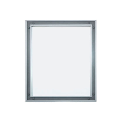 Ziva 30 in W x 32 in H Mirror with Black Metal Inlay