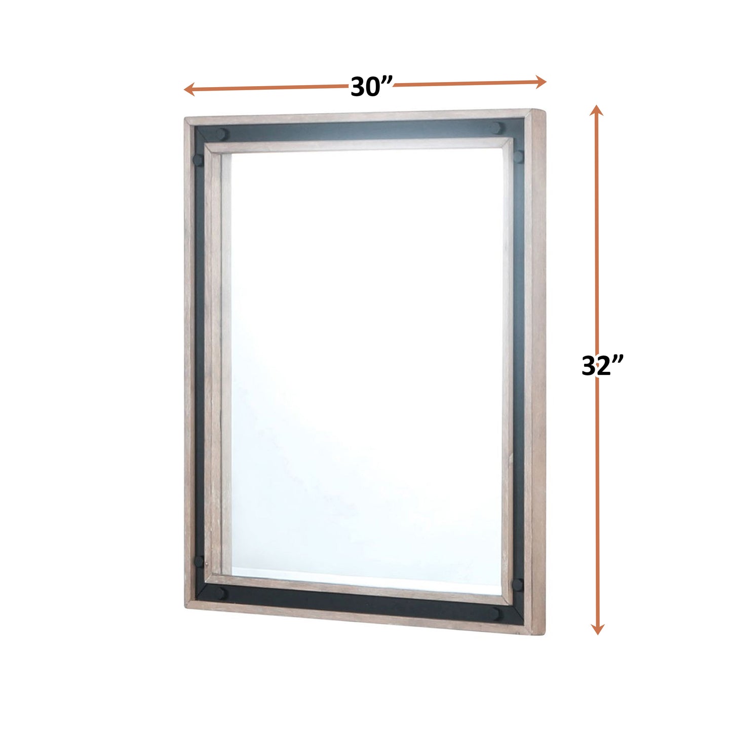 Ziva 30 in W x 32 in H Mirror with Black Metal Inlay