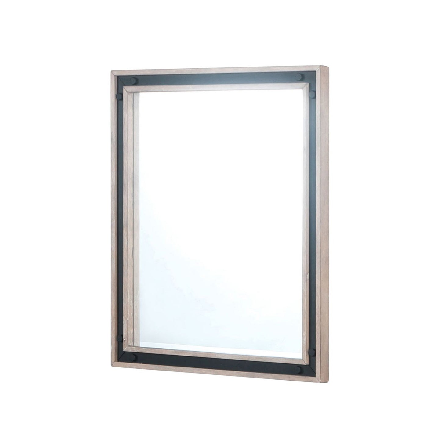 Ziva 30 in W x 32 in H Mirror with Black Metal Inlay