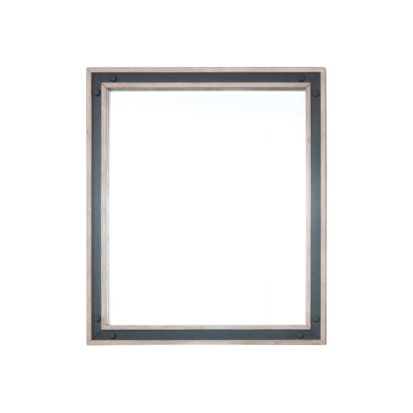 Ziva 30 in W x 32 in H Mirror with Black Metal Inlay