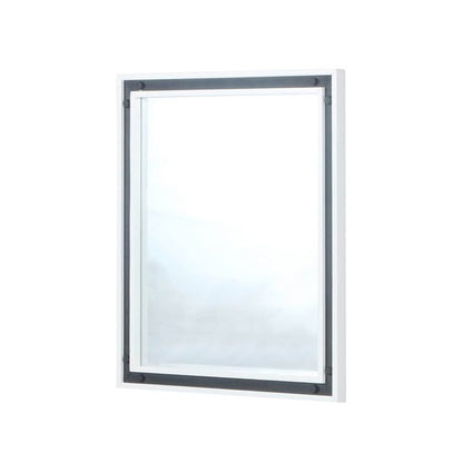 Ziva 30 in W x 32 in H Mirror with Black Metal Inlay