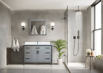 Ziva 48 in W x 22 in D Dark Grey Bath Vanity
