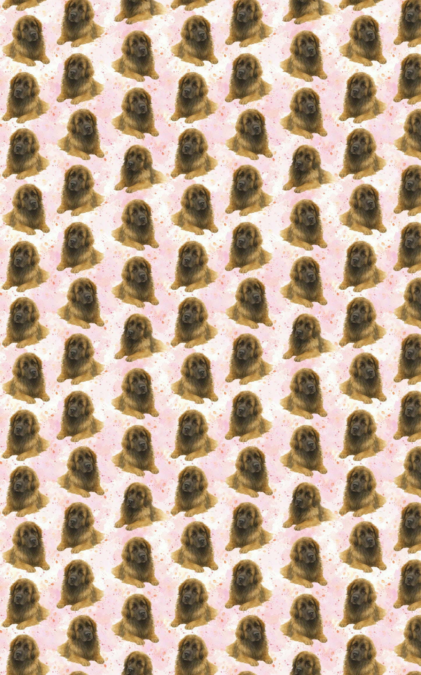 Pastel Paws