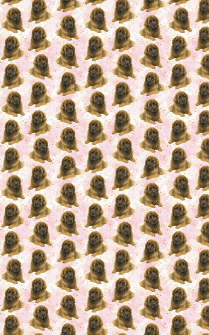 Pastel Paws