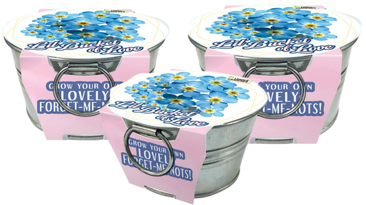 Lil' Bucket of Love - Grow Your Own Forget-Me-Nots Multipack of 3