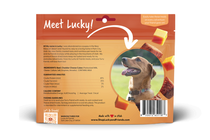 Steak & Cheddar Cheese Bites Dog Treats