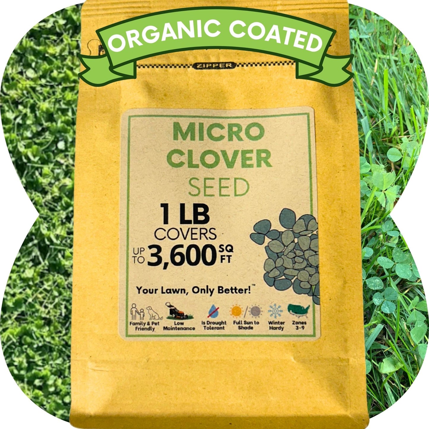 Micro Clover Seed