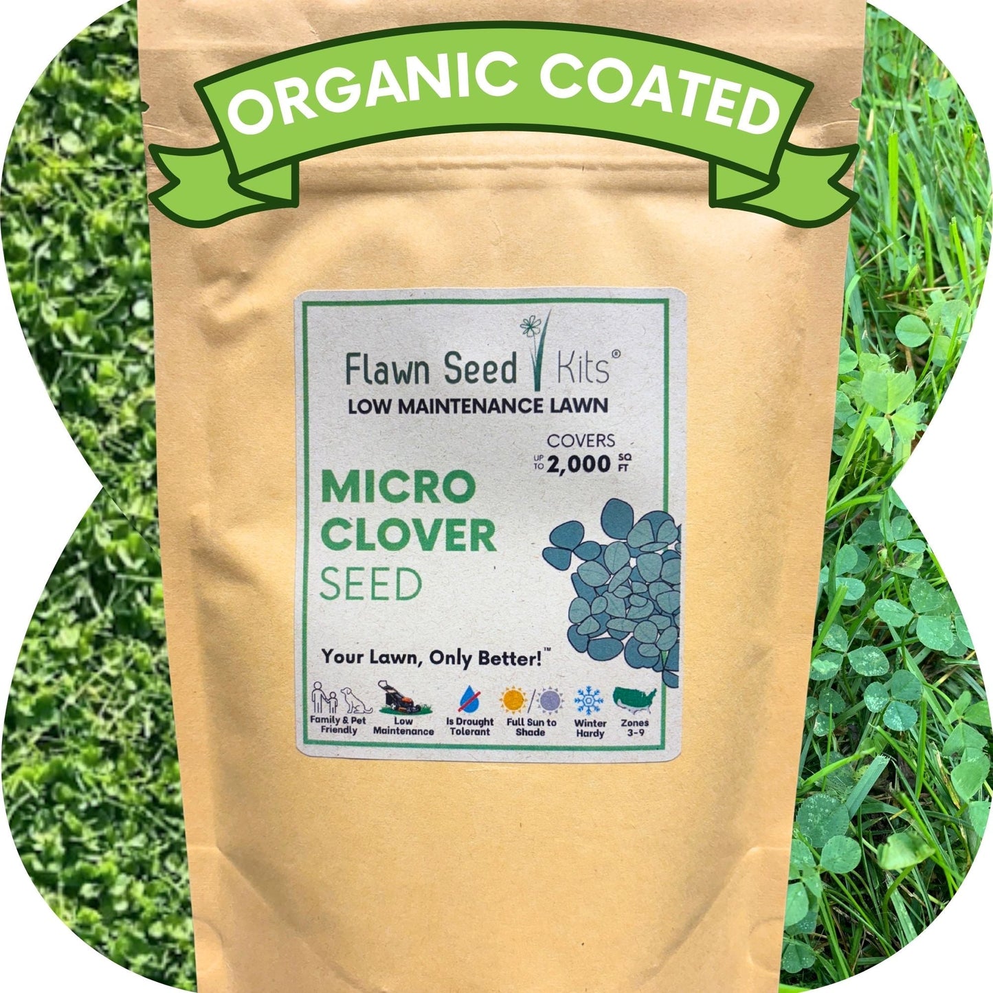 Micro Clover Seed