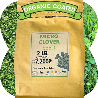 Micro Clover Seed