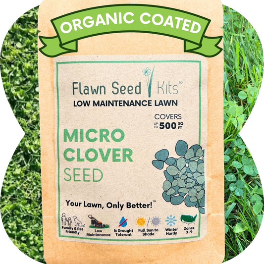 Micro Clover Seed