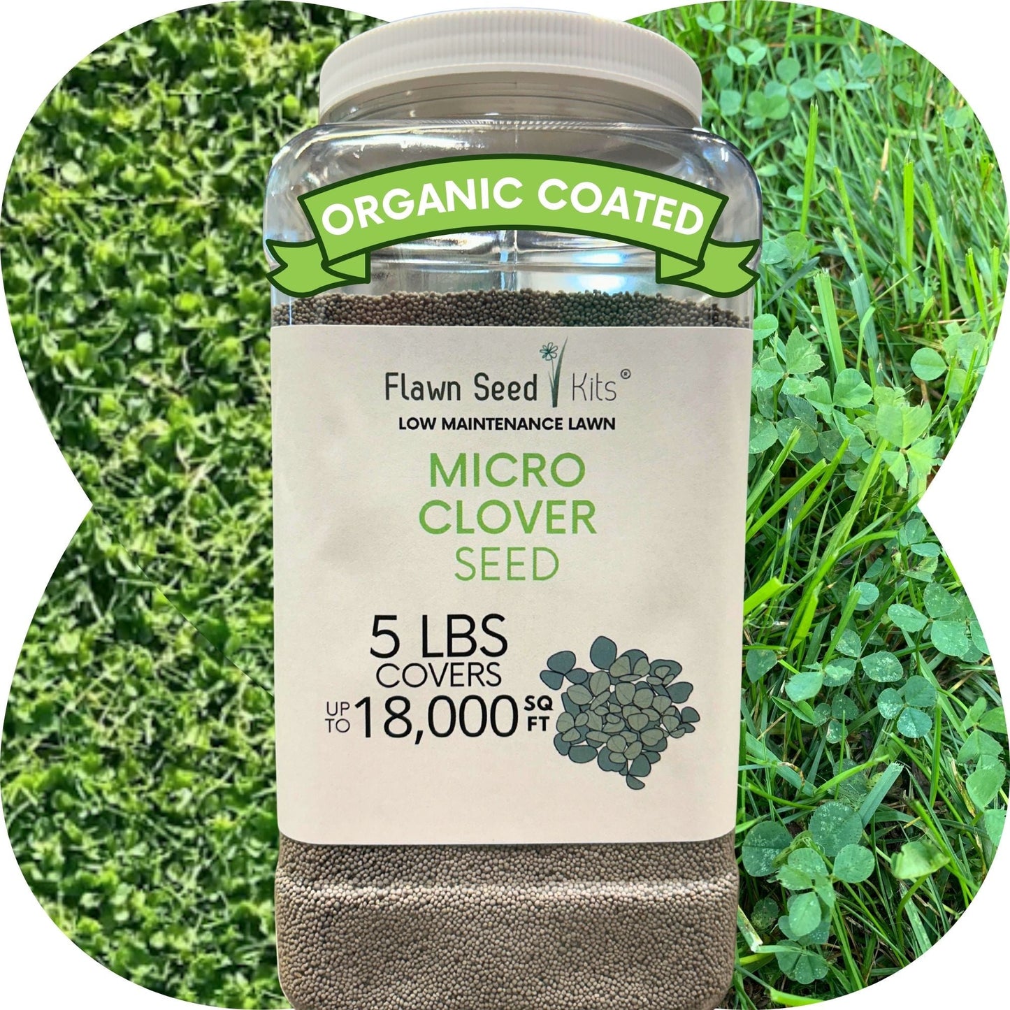 Micro Clover Seed