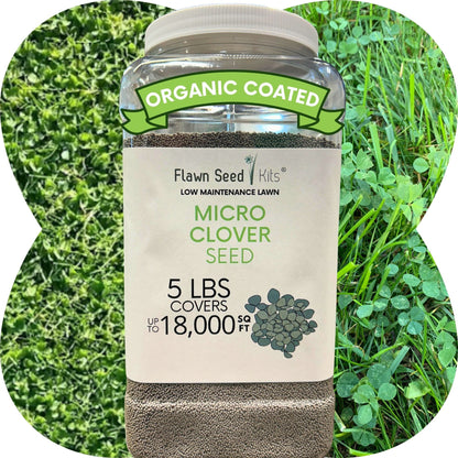 Micro Clover Seed
