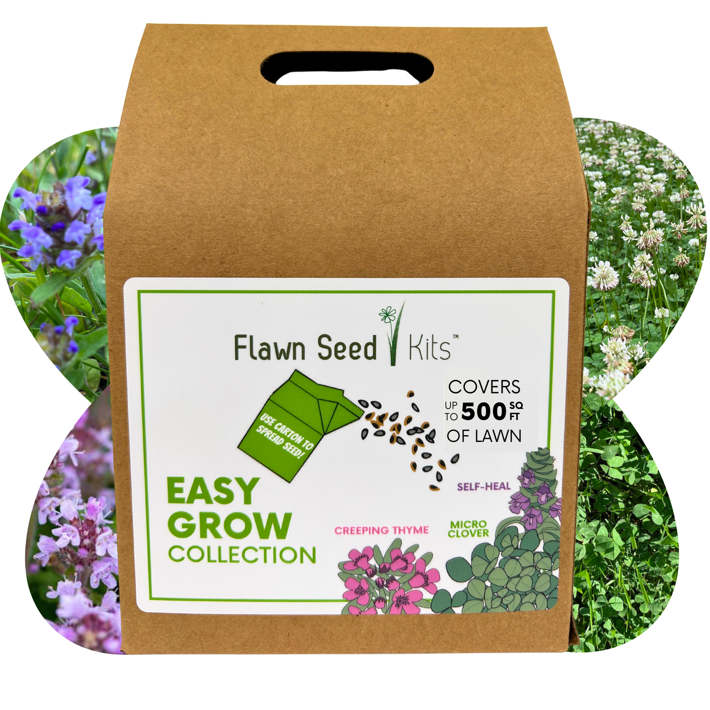 Easy Grow Micro Bee Lawn Eco-Friendly Kit
