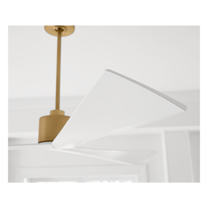 Adler 60" Ceiling Fan