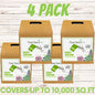 Easy Grow Micro Bee Lawn Eco-Friendly Kit