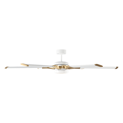 Loft 62" LED Ceiling Fan