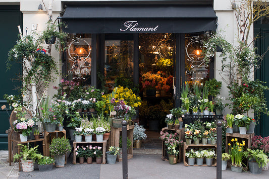 Left Bank Flower Shop in Paris