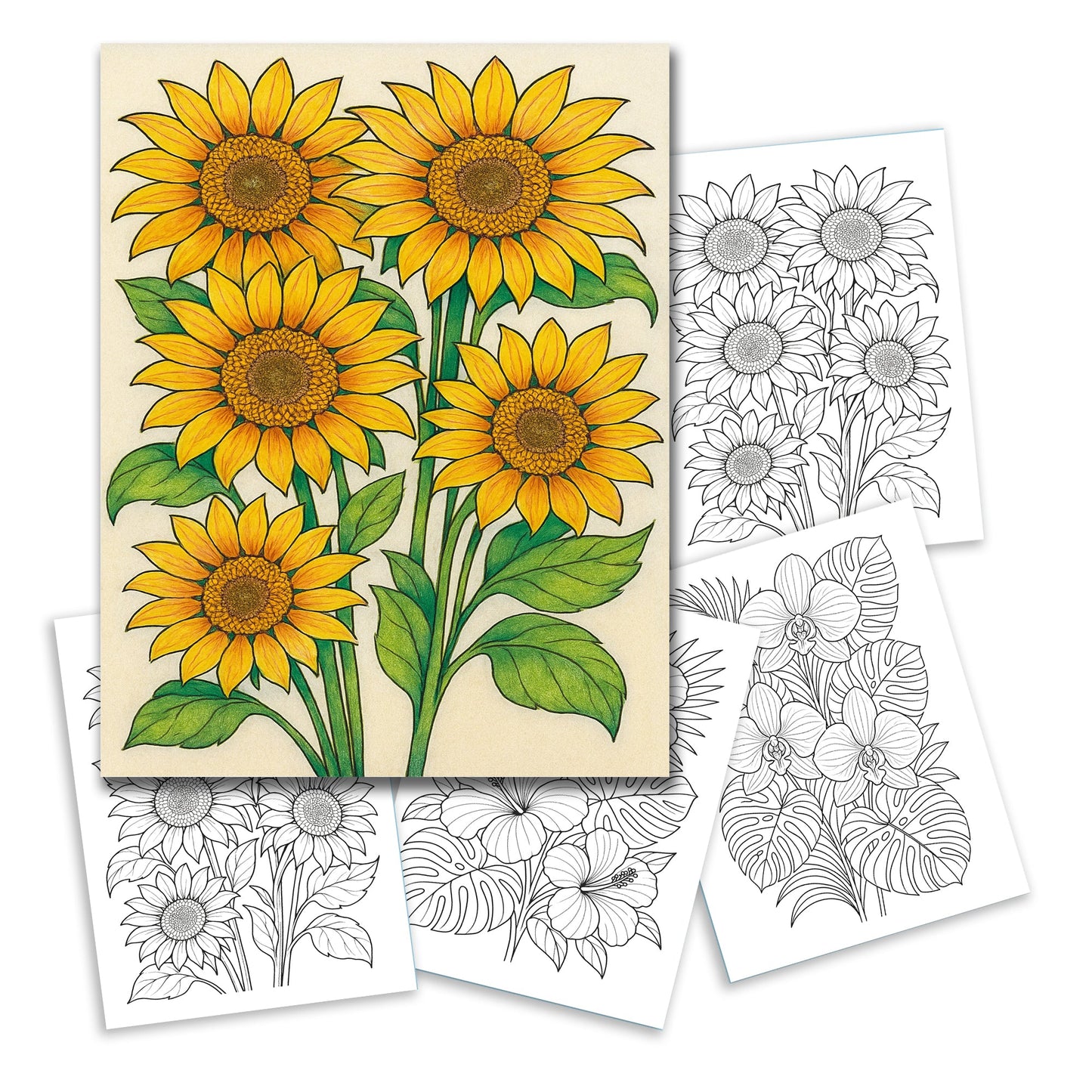 Bright Sunflower Garden Coloring Pages – 48 Cheerful Designs for Adults