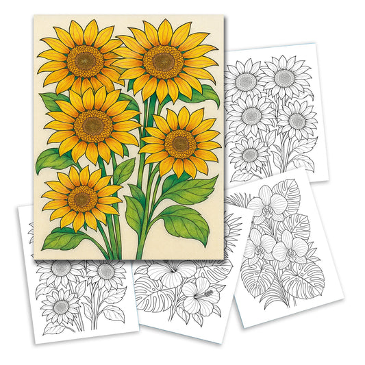 Bright Sunflower Garden Coloring Pages – 48 Cheerful Designs for Adults