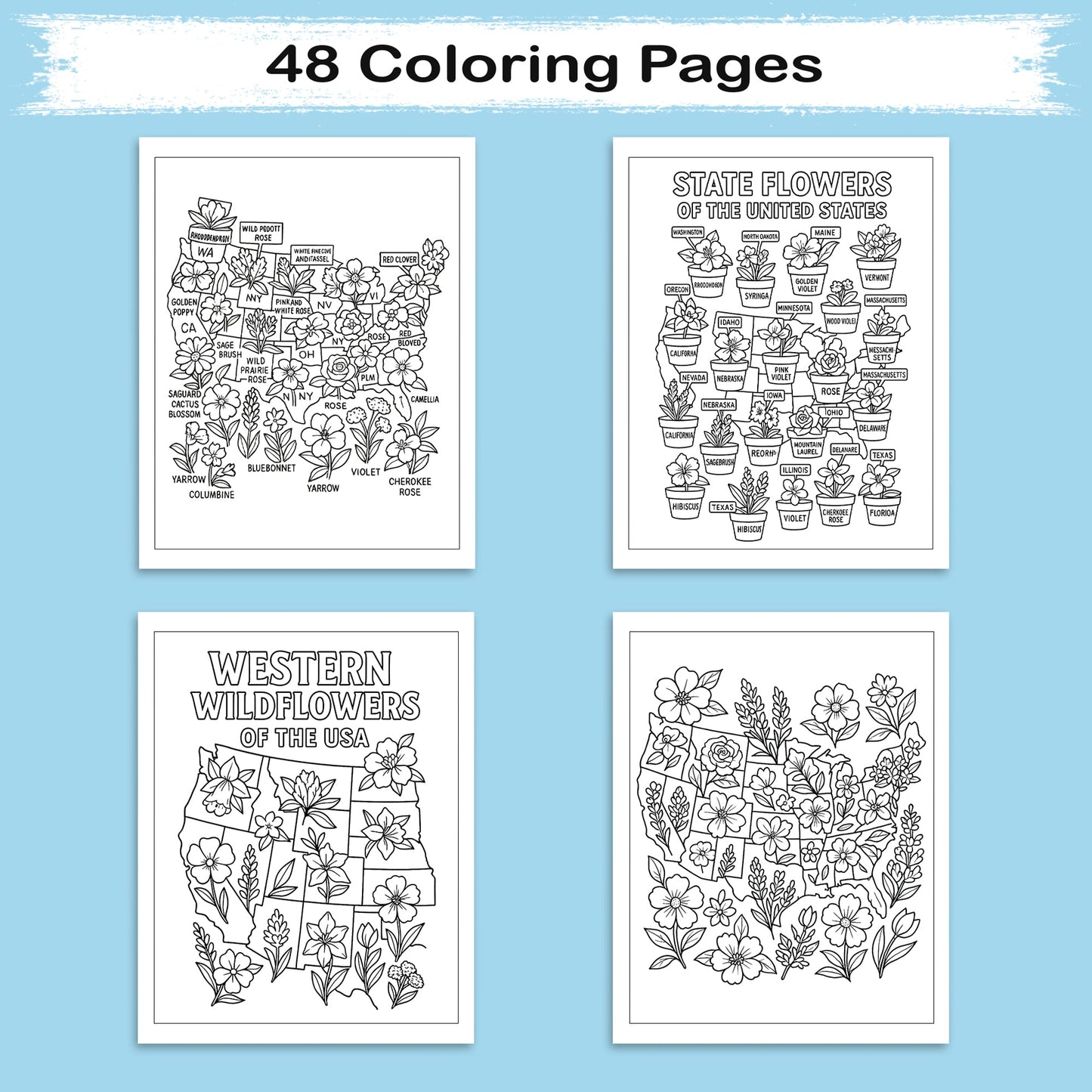 Floral Map of America – Coloring Pages – 48 State Flower Designs Across the U.S. – For Adults