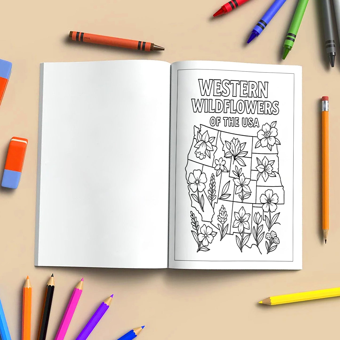 Floral Map of America – Coloring Pages – 48 State Flower Designs Across the U.S. – For Adults