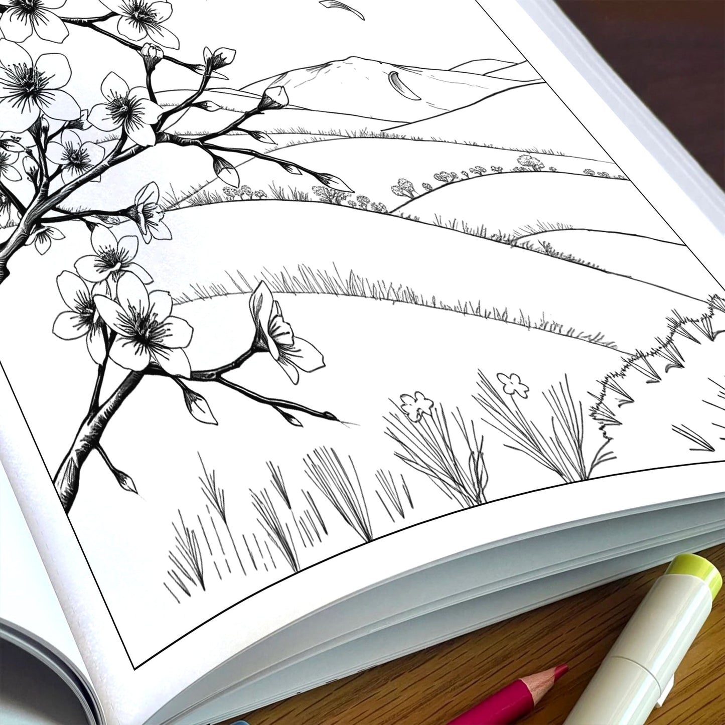 Seasons in Bloom – Flower Coloring Pages – 48 Pages – Cherry Blossoms, Lavender, Mums & Poinsettias – For Adults