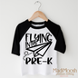 Flying Into Pre-K  Back To School Shirt - School Shirt