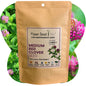 Medium Red Clover Seed