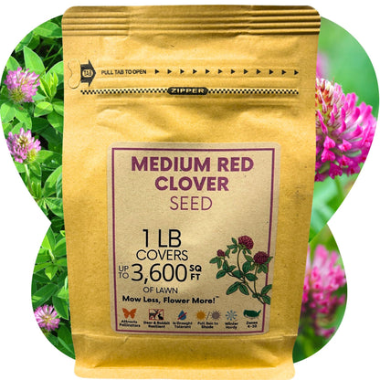 Medium Red Clover Seed