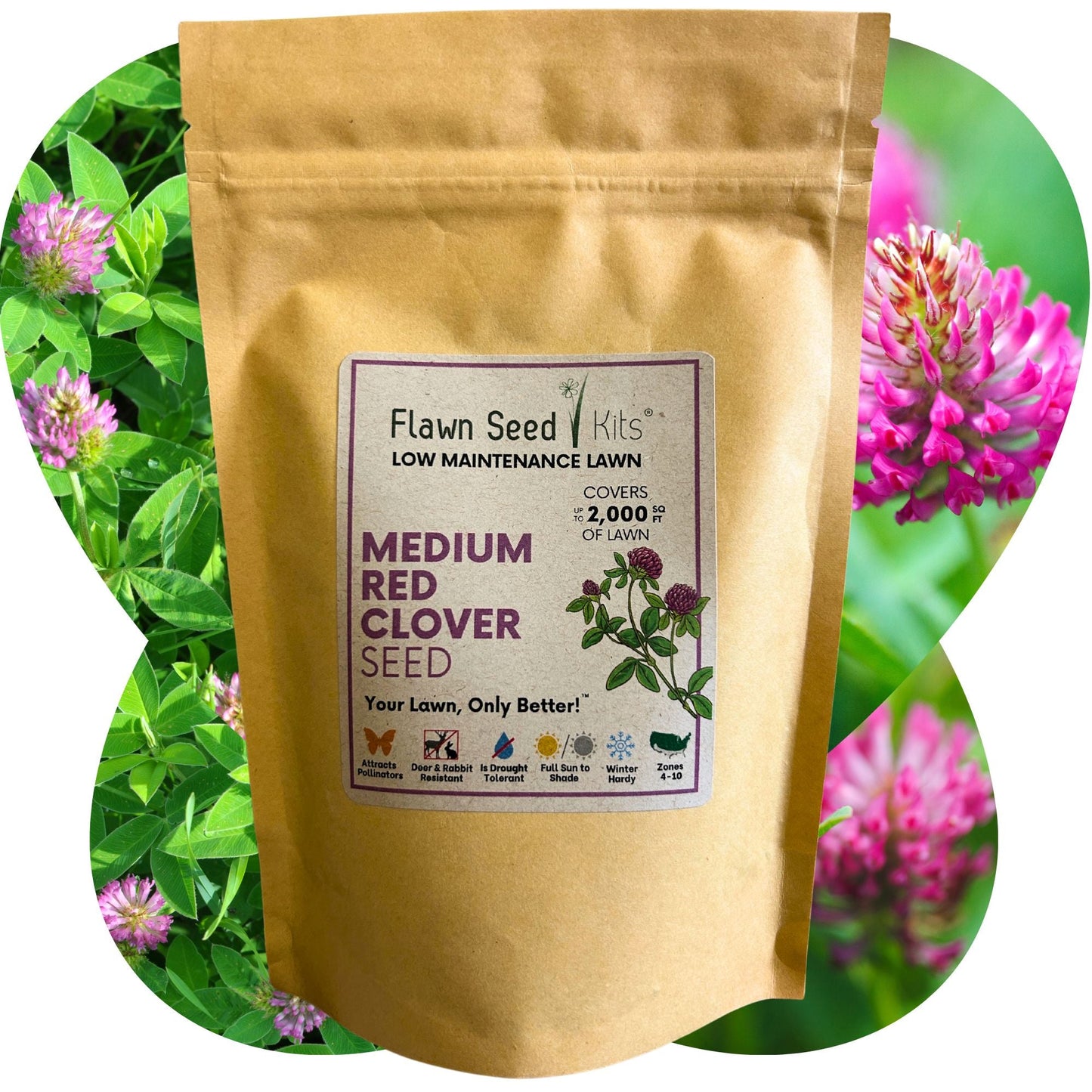 Medium Red Clover Seed