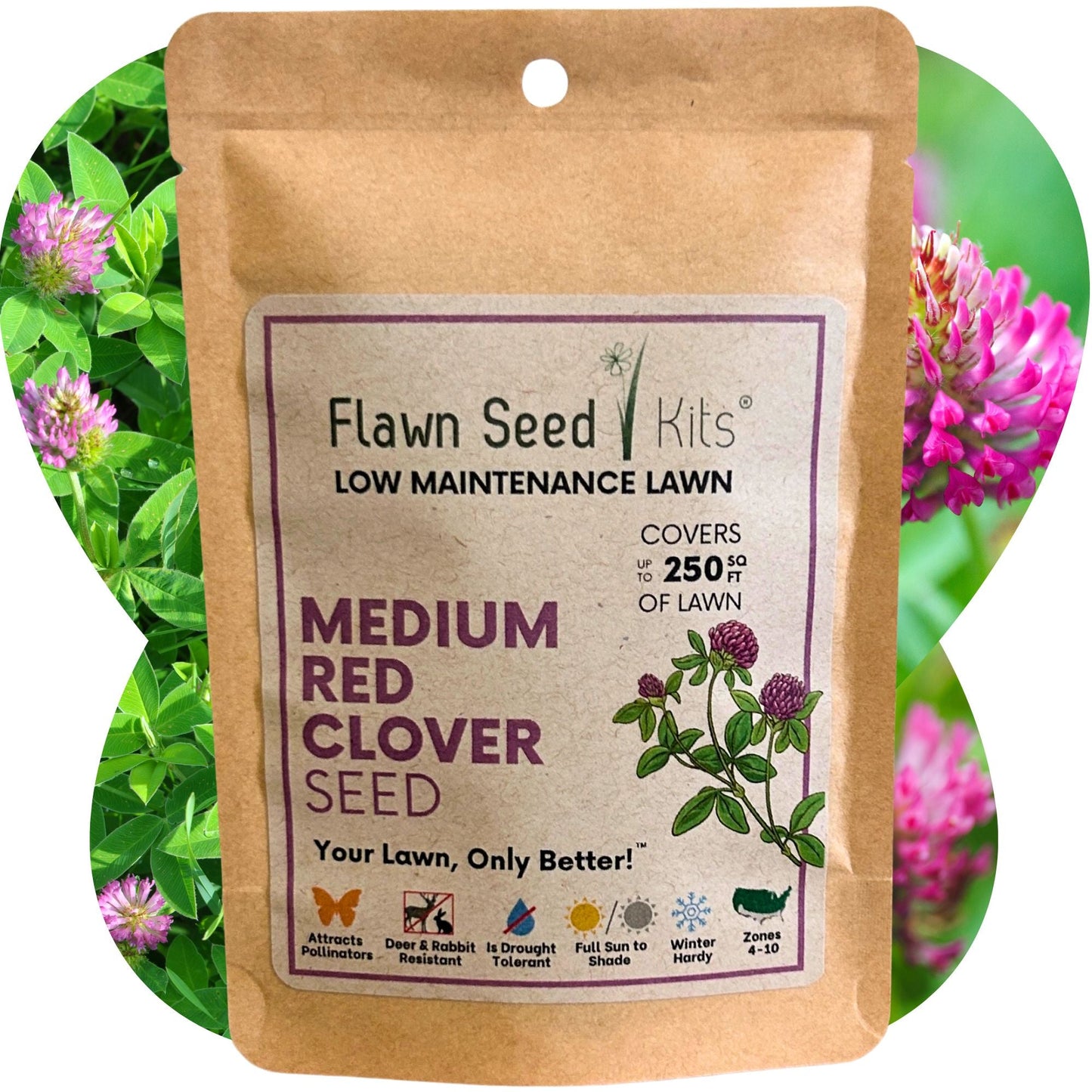 Medium Red Clover Seed