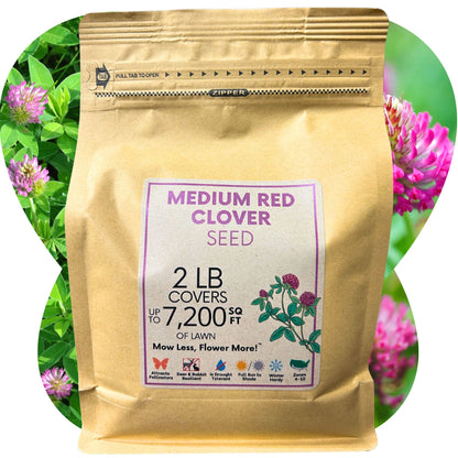Medium Red Clover Seed
