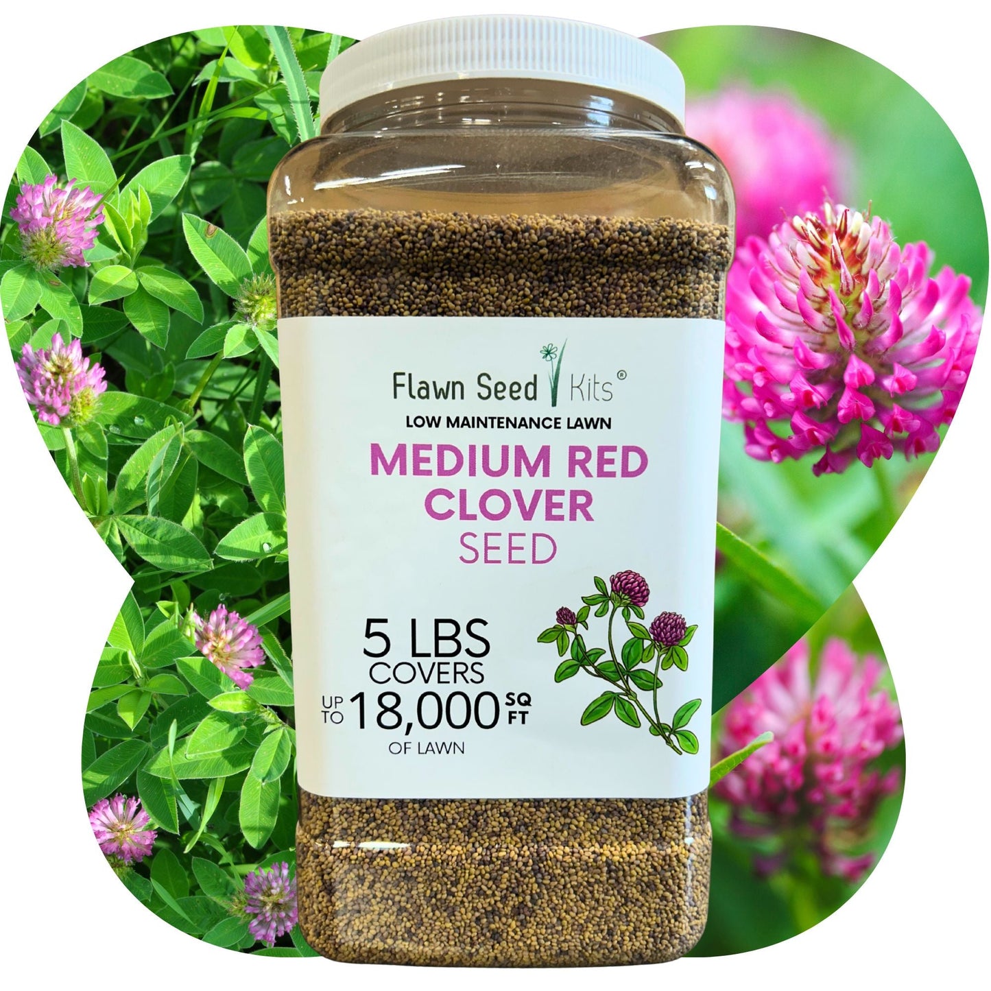 Medium Red Clover Seed