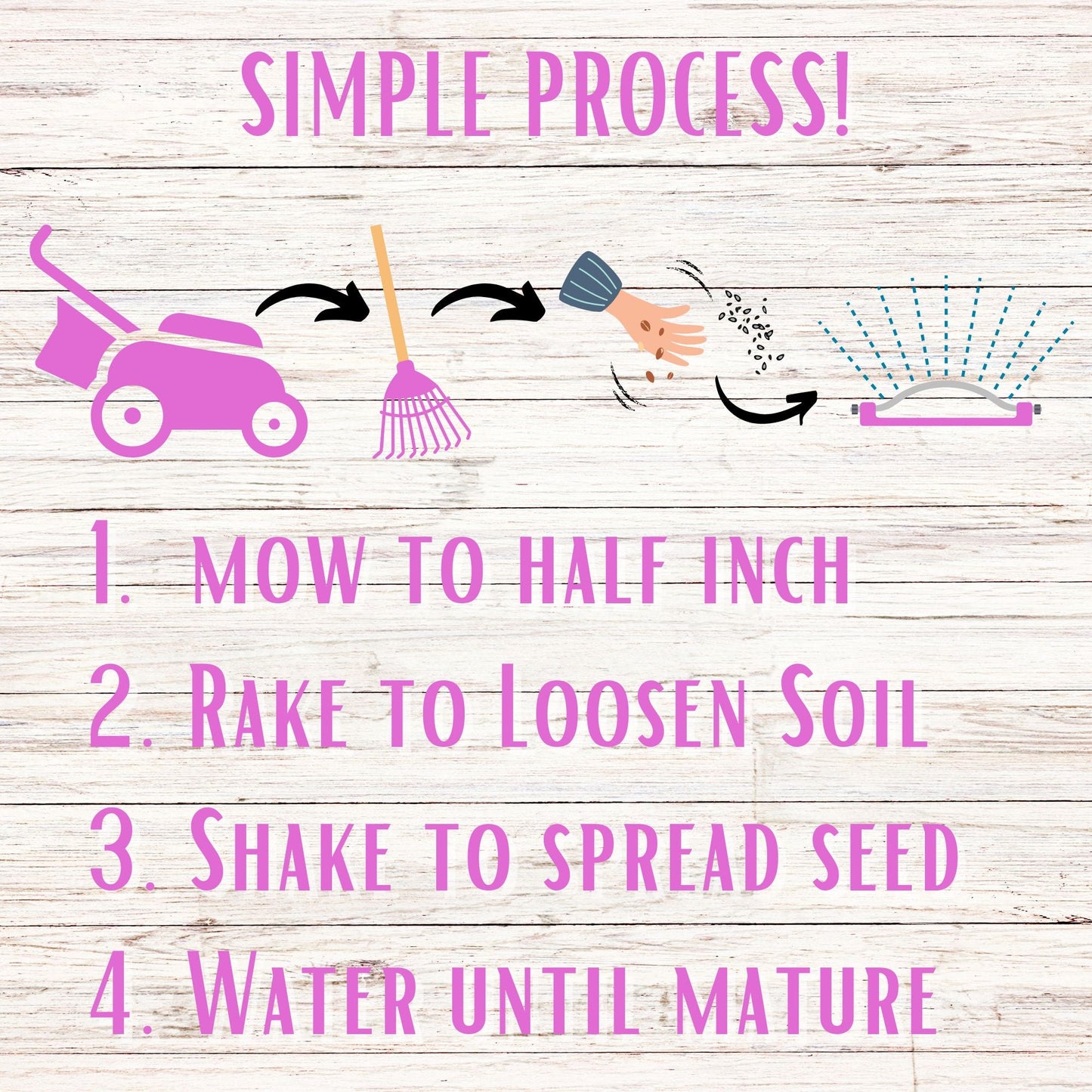 Medium Red Clover Seed