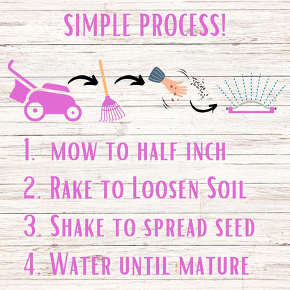 Medium Red Clover Seed