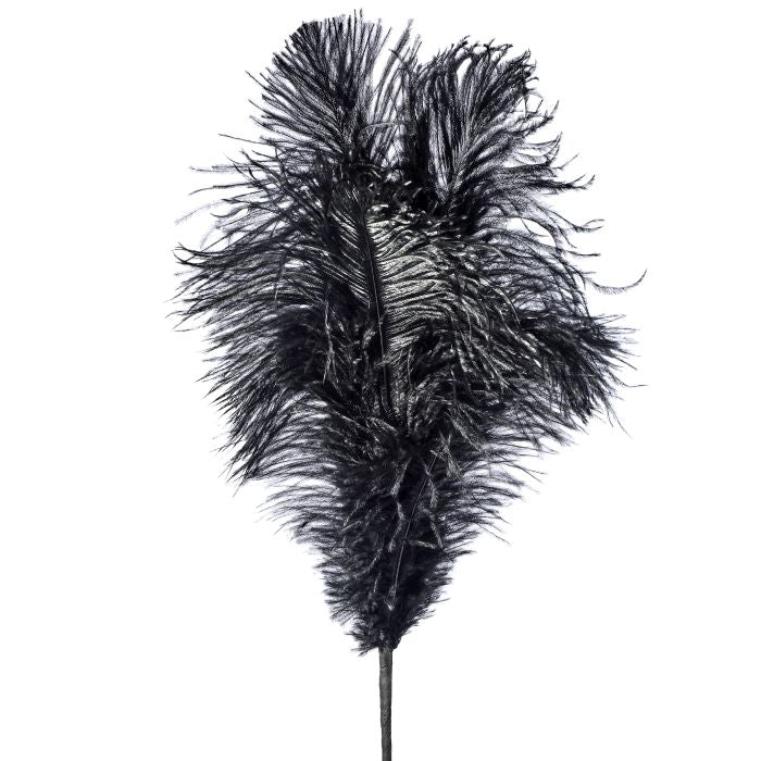 22" OSTRICH PLUME FEATHER SPRAY BLACK