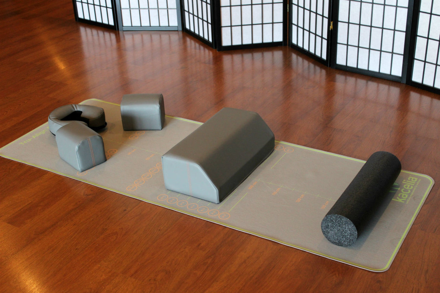Kacelia Tru Align Body System - Spinal Alignment & Back Pain Relief